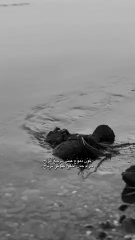كون دموع عيني🌷. #عبود_الهيثم #عبود_الهلو🖤 #القيارة #الجواعنة #fyp 