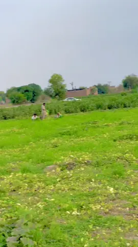 Ya Allah reham kro#bahawalpur #bahawalpuri__nawab🥰🥰😍😍 #foryoupage #bahawalpur #foryou #bahawalpur #foryou #bahawalpuri__nawab🥰🥰😍😍 #foryoupage #bahawalpur 
