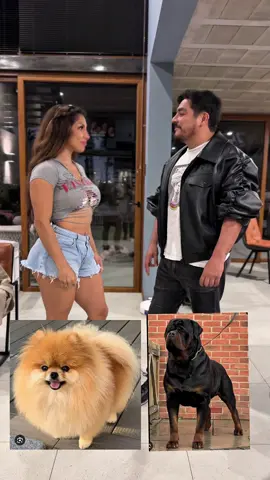 Almenos se parece #pet #dog #perrostiktokers #humor #familia 