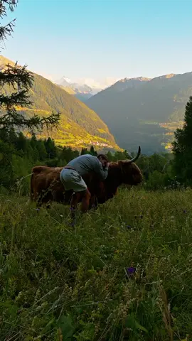 Peaking #mountains #lumineers 