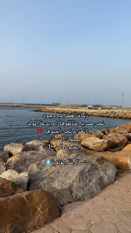 #الاحتفال_بالمولد_النبوي #البدعة #creatorsearchinsights #creatorsearchinsights #لايجوز 