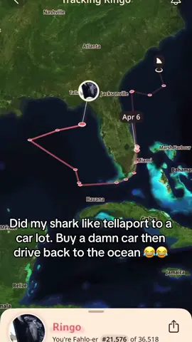 Ringo was on a wild adventure 😂😂 @Fahlo #shark #pet #tracker #fyp 