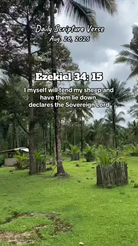 Insight: God shows similar care to His people. We can trust Him, our shepherd, to lead us forward through life---though we may feel 