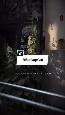 Từ Vựng Hôm Nay là .. Thế bao giờ mình yêu nhau..😍#CapCut #xuhuong #nhachaymoingay #mẫucapcut #viral 