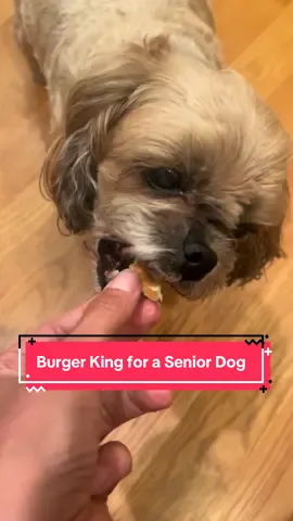 With senior dogs, their appetite can change daily, sometimes multiple times a day. Baylee’s parents and I (when I have her) are doing everything to make sure she’s comfortable, safe, and happy.  Thanks @Burger King for helping me make Baylee a happy girl and fill her tummy. 💜🥹 #dogs #seniordogs #dogsitting #dogmoms #burgerking 