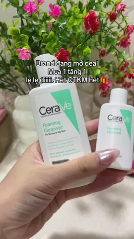 #miureview94 #xhtiktok #ceravevn #salegiuathang 