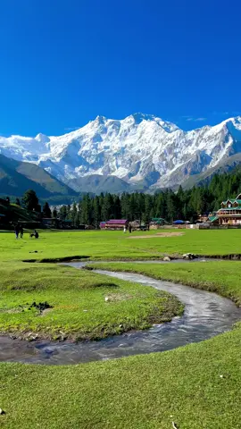 Fairy meadows - The Mighty Nangaparbat 🏔️❤️😍 𝐏𝐥𝐚𝐧 𝐲𝐨𝐮𝐫 𝐩𝐞𝐫𝐟𝐞𝐜𝐭 𝐜𝐮𝐬𝐭𝐨𝐦𝐢𝐳𝐞𝐝 𝐁𝐲 𝐚𝐢𝐫 𝐭𝐫𝐢𝐩 & 𝐛𝐲 𝐫𝐨𝐚𝐝 𝐭𝐫𝐢𝐩𝐬 𝐭𝐨 𝐝𝐢𝐟𝐟𝐞𝐫𝐞𝐧𝐭 𝐝𝐞𝐬𝐭𝐢𝐧𝐚𝐭𝐢𝐨𝐧𝐬 𝐢𝐧 𝐩𝐚𝐤𝐢𝐬𝐭𝐚𝐧 𝐰𝐢𝐭𝐡 𝐒𝐤𝐚𝐫𝐝𝐮 𝐓𝐨𝐮𝐫𝐢𝐬𝐦 𝐂𝐥𝐮𝐛 Skardu | Hunza | Fairy meadows | Astore minimerg | Naran kaghan     Direct flights available from Karachi - Lahore - Islamabad  & Dubai  1: Family Tours  2: Honeymoon Tours  3: Corporate Tours  4: Group Tours 5: College / university tours  Make memories with your loved ones We are offering affordable packages. Get your quote today.  ⁨WhatsApp us number mentioned in profile  #foryou #foryoupage #unfrezzmyaccount #skardutourismclub #goomopakistan  