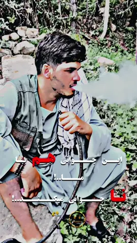 #نجراب 