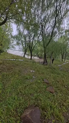 #flood #fyp #flashflood 