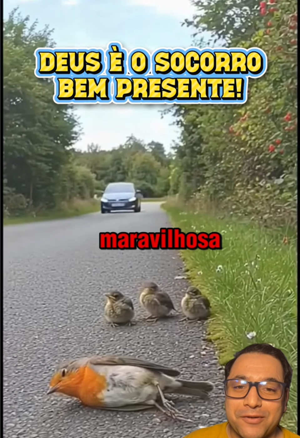 Passarinho estava no chão caído machucado na estrada Deus enviou um anjo para levantará-lo um homem para dar água fresca levanta ele ainda amor na terra comente aqui o senhor eu socorro bem presente na hora da angústia! -#amor #ajudadeus #amar #fyp 