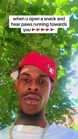 #fyp 