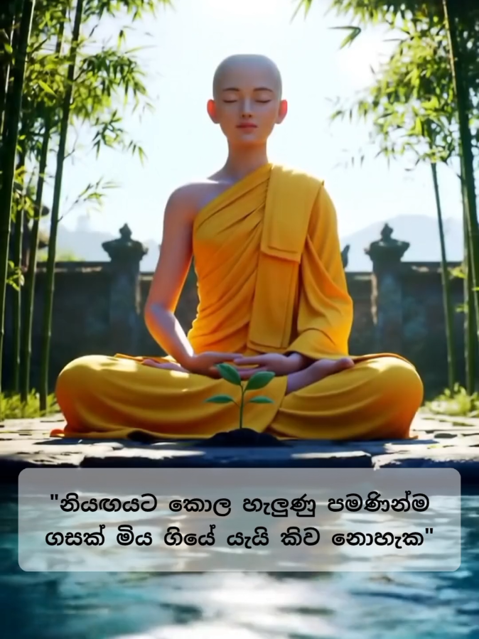 #motivacional #spirituality #buddhist #buddhism #buddha 
