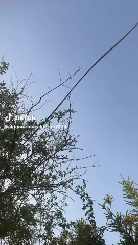 #jptypシ 