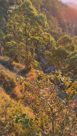 ⛰️#ramelau_mountain_of_timor_leste🇹🇱 #fypシ 