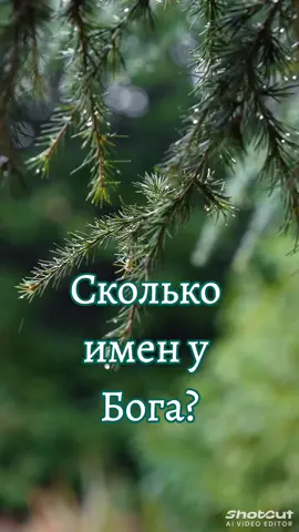 #Бог #Библия #Вера 