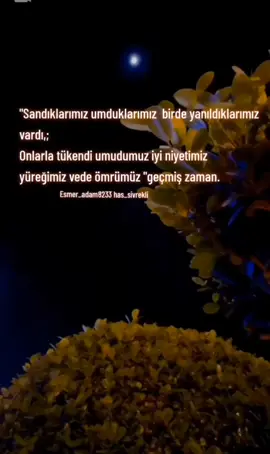 Aah gönül vahlar gönül senin elinden... #Esmer_adam8233 #seveninnegünahıvar #has_siverek #müslümgürses #arabesk 