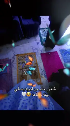 🥹🤍🤍🤍فراشات طايره 🤍🤍#fyp #اكسبلورexplore #fypシ #fypシ゚viral #مابيه_حيل_اخلي_هاشتاكات  