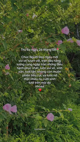 “Chào ngày mới Người Đẹp🌷” #suyymottchut #viral #fyp 