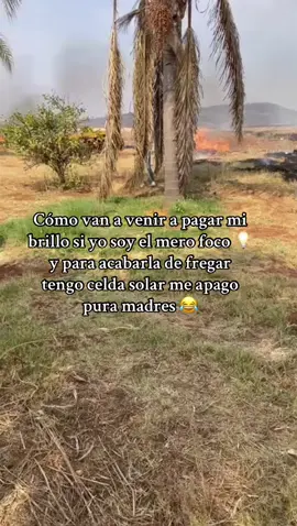 #video #viral #contenido #tiktok