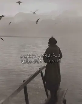 لستُ ذليلاً كي اعز بقربهم  ‏انا عزيزٌ . . لا يُذل جواري 🤍.