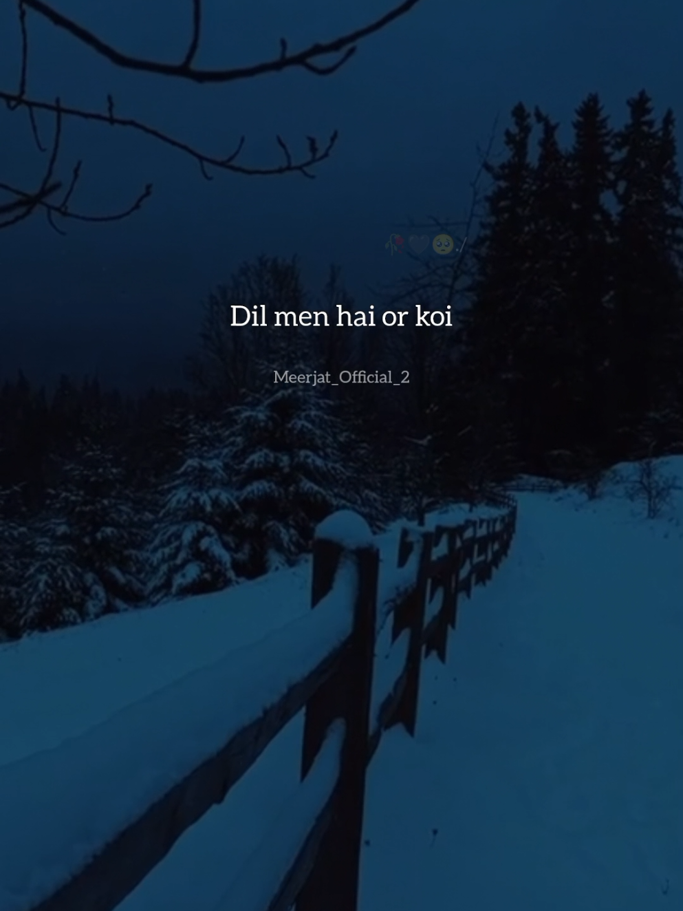 Dil khoya khoya #foruyou #songlyrics #lyrics #meerjatofficial_2 #uktiktok 