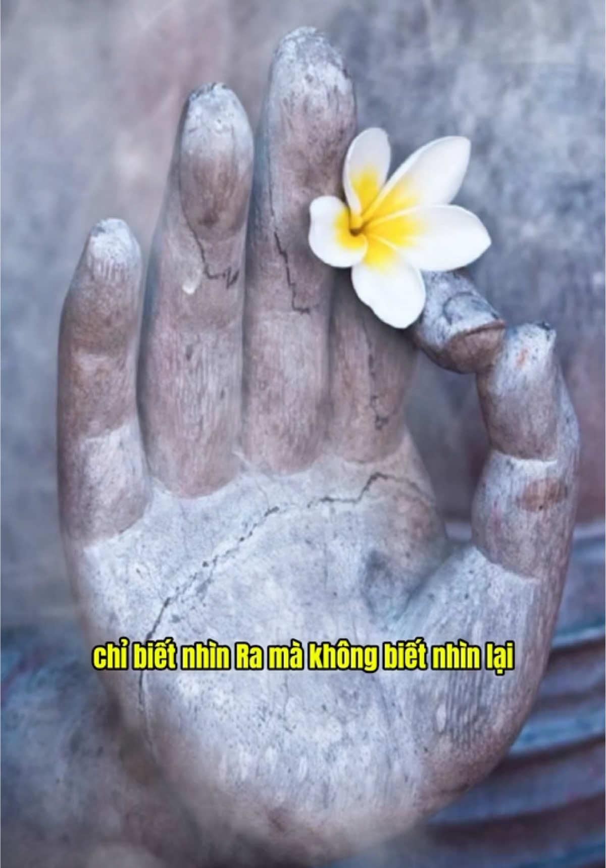 chỉ biết nhìn ra mà không biết nhìn lại  … chỉ biết nhìn người mà ít nhìn lại mình #phatphap #phatphapnhiemmau #annhien #loiphatday #chualanhtamhon #thichphaphoa 