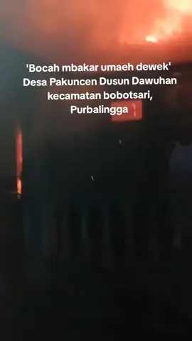 inpo kronologine lur?? motivasine apa si ya mbakar umaeh dewek #purbalingga #purbalinggaperwira #purbalinggatiktok 