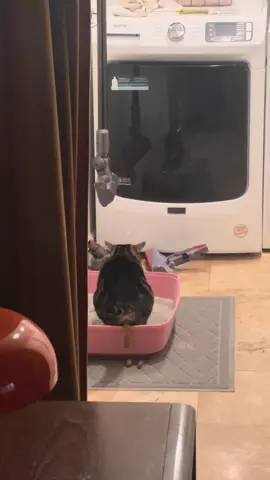 I only wanna see support for egg in the comments, she’s doing her best 