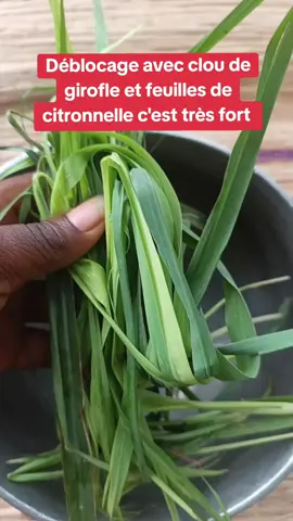 Déblocage avec clou de girofle et feuilles de citronnelle c'est très très fort 