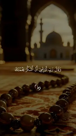 قران كريم بصوت جميل  #قرأن #quran #قران_كريم_بصوت_جميل #قران_كريم_ارح_سمعك_وقلبك♡ #قرأن_كريم_راحة_نفسية🤍🌿 