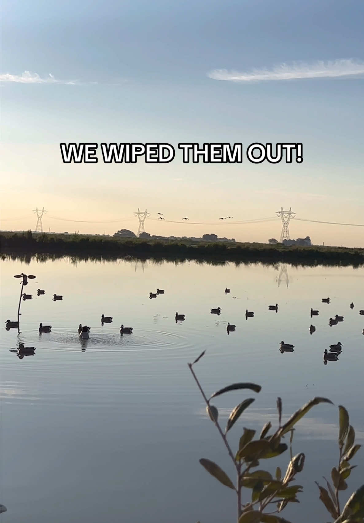 🚀 BLUE ROCKETS INBOUND Blue-winged teal are the first to head south, and with summer fading and temps dropping across the country this week, they’ll be on the move! 👉 Gear up with the F1 Bluewing Floaters and A-Bomb Texas Rigs so you’re ready when the season opens!
