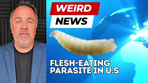 First Human Case of Flesh-Eating Parasite in U.S. Reported in Maryland Breaking News: Health officials have confirmed the first U.S. human case of the flesh-eating New World screwworm parasite. The patient, recently returned from El Salvador, is being treated in Maryland. The risk to the general public remains low, but a renewed containment effort—including sterile fly releases—is now underway amid concerns for livestock safety. Sources: People, Reuters, Barron’s #Screwworm #ParasiteAlert #PublicHealth #BreakingNews #USDA