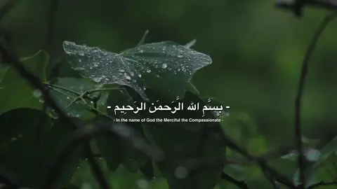 كل أمانينا ورجاؤنا عند الله، فلا يغلق لنا باب الأمل… يا مقلّب القلوب والأبصار، يا مدبّر الليل والنهار، يا محوّل الحول والأحوال، اجعل حالنا أفضل مما هو عليه الآن🤎✨ .  .  . #ادعيه #بسم_الله_الرحمن_الرحيم #الخامنئي #يارب #يارب 