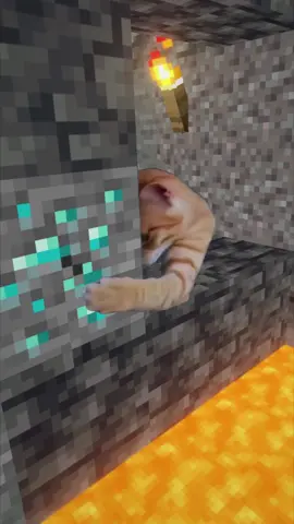 When you find your first diamond 🤣 #Minecraft #edit 