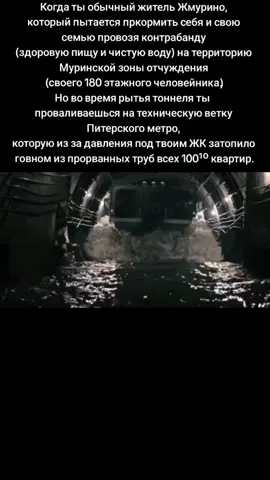 ⚠️ REAL SITUATION IN MURINO💀 #урбанистическийад #зомбиапокалипсис #популярное #fyp #врек #ленобласть #спб #мурино #жмурино #хейтмурино #ситуациявмурино 
