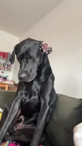upset he didn’t get toast 