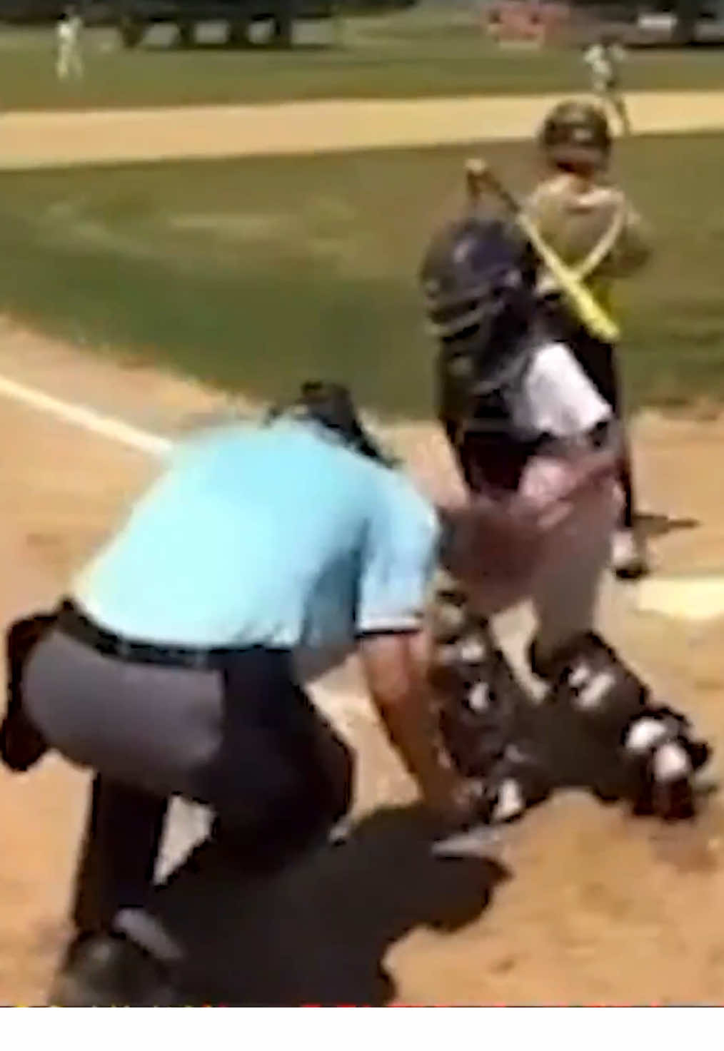 TOUGH day at the ballpark for this umpire