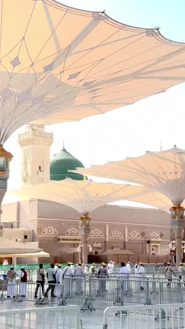 #masjidulnabvi #masjidulnabvi #medina #foryou #foryou 
