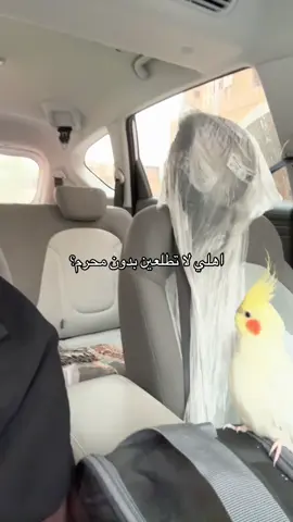 #😂😂😂 #สโลว์สมูท #explore #fypシ゚ #شعب_الصيني_ماله_حل😂😂 