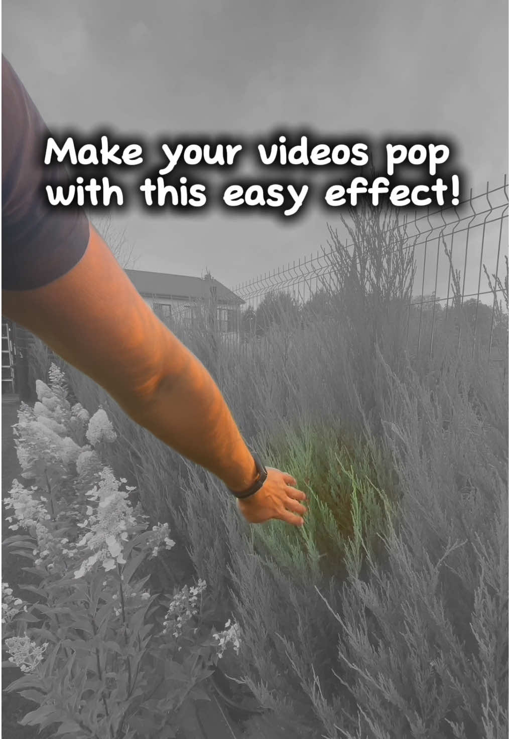 Masking effect in CapCut  👇 Tell me what you think 💬 Save for later ⏰ And follow for more 💪 #creativevideo #tutorial #videoediting #maskeffect #capcut
