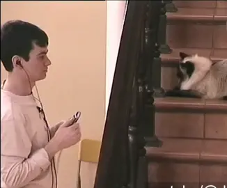 #дом2 #рекомендации #дом2новости #венцеслав 