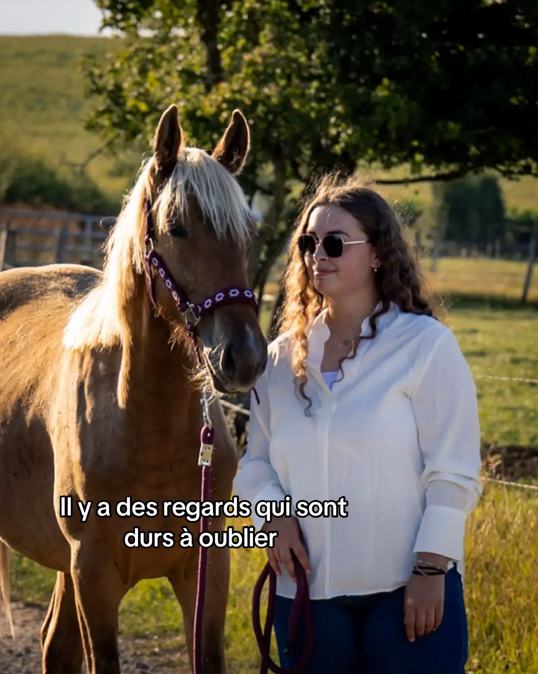 #horse #fyp #devinelapersonne #pourtoi #horseevolution 