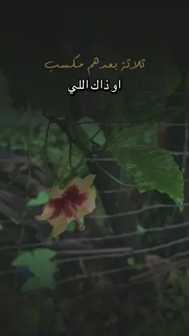 ثلاثة بعدهم مكسب ✔️