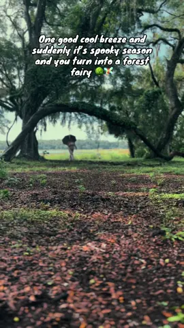 By cool I mean 80°. We are in Florida after all 🥵 Can’t wait for spooky season and empty springs!!! ✨☺️ 🎥: @whitliegrace  #spookyseason #forestfairy #floridalife #fall #autumn