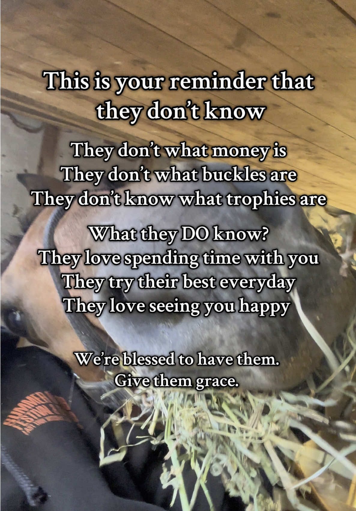 ❤️  #horsesoftiktok #horse #barrelracing #fypシ #fypシ゚viral 