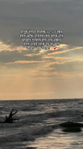 Fr :)#tiktokviral #fypppppppppppppppppppppppp #repost #bdtiktokofficial🇧🇩 