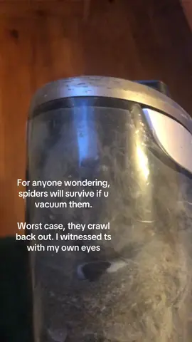Genuinely a terrifying sight for an arachnophobic #arachnophobia #spider #fyp #abcxyz #disturbing 