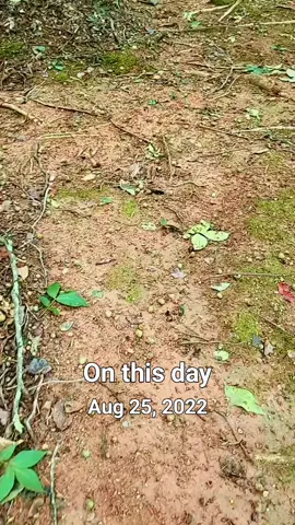 #onthisday 
