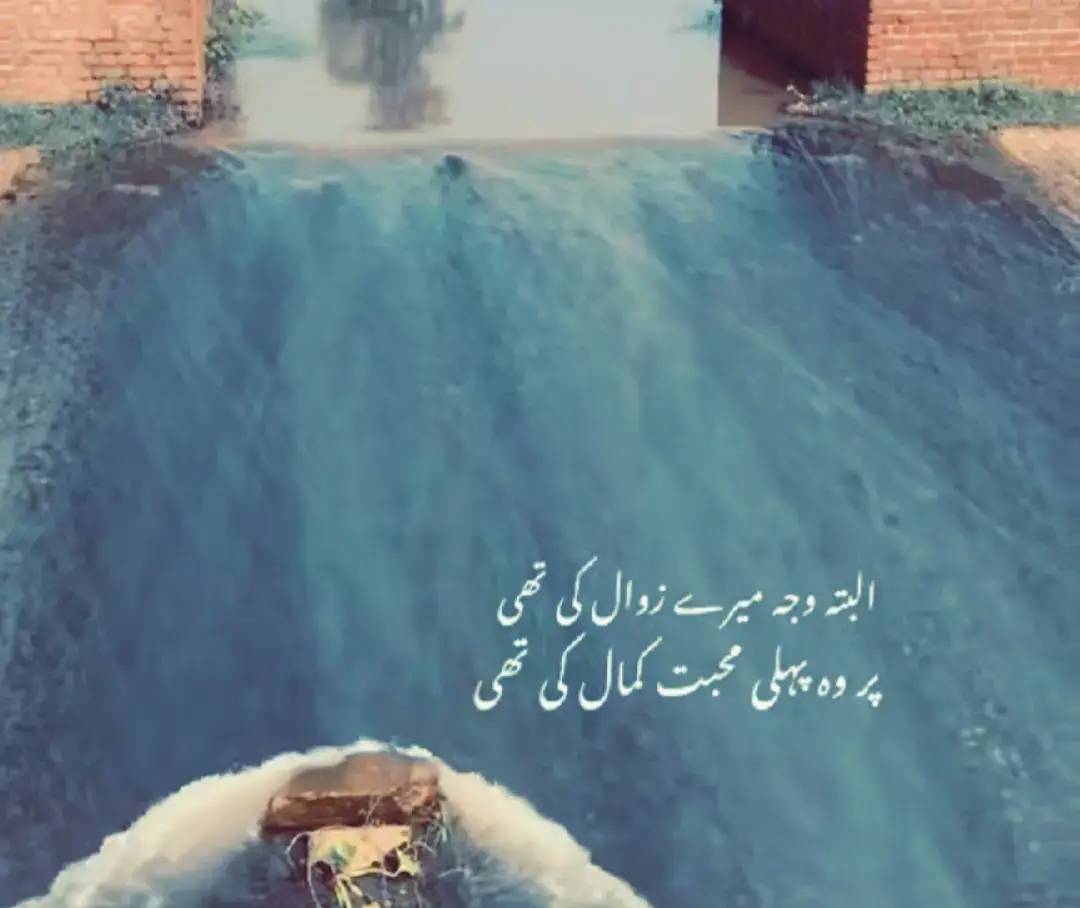 #foryou #dhokha #poetry #viral #fyp 