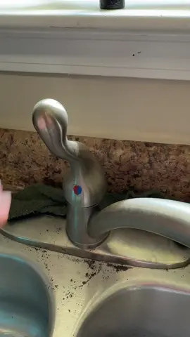 Maybe check your faucet cartridges when moving in. Every single cartridge in the house was nasty #plumbing #newhome #oldhouse 